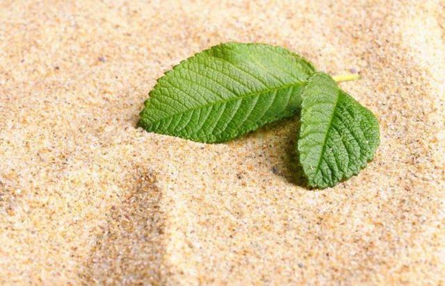 真正的聰明人,都有這四個特徵