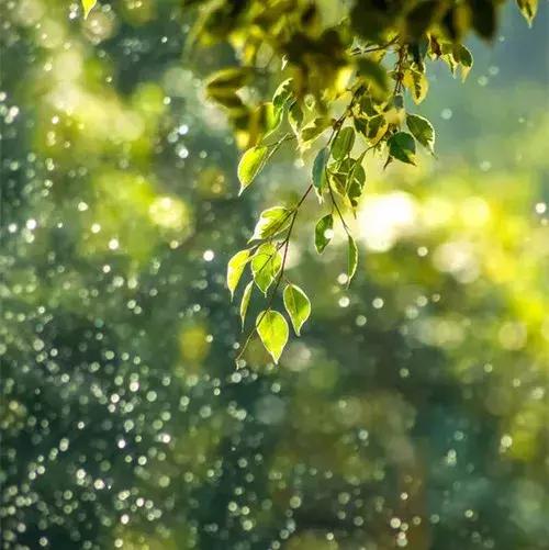 既相遇，何相離