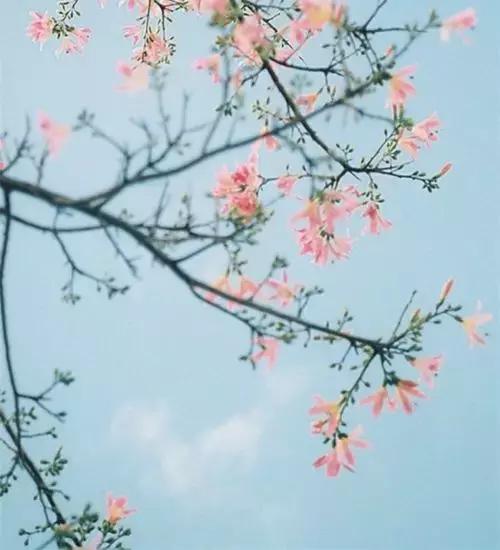 既相遇，何相離