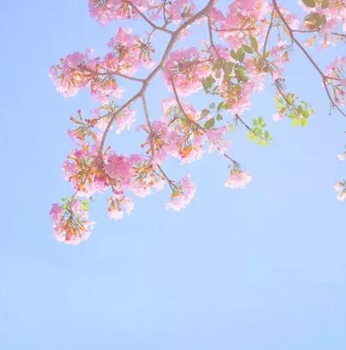 既相遇，何相離