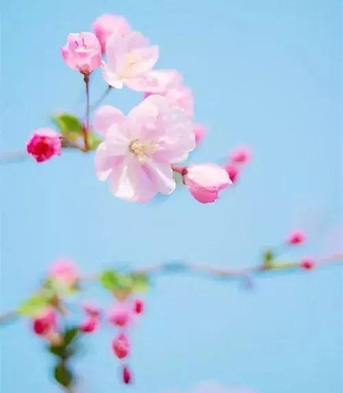 既相遇，何相離