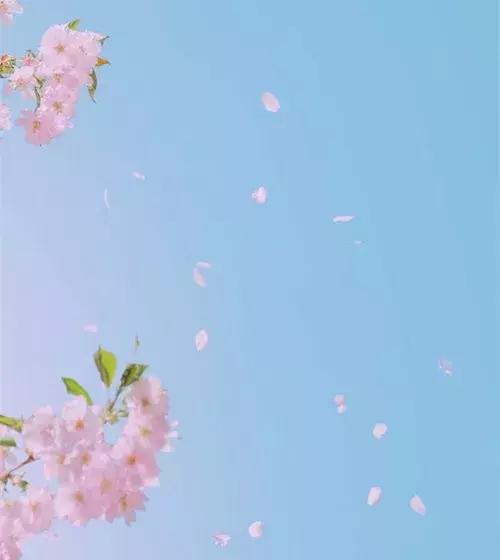 既相遇，何相離