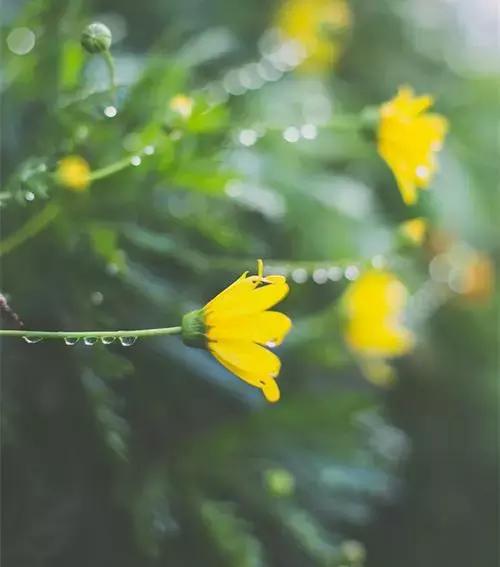 既相遇，何相離