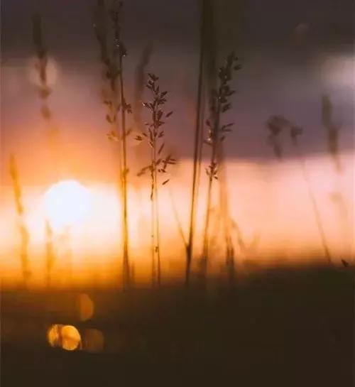 既相遇，何相離