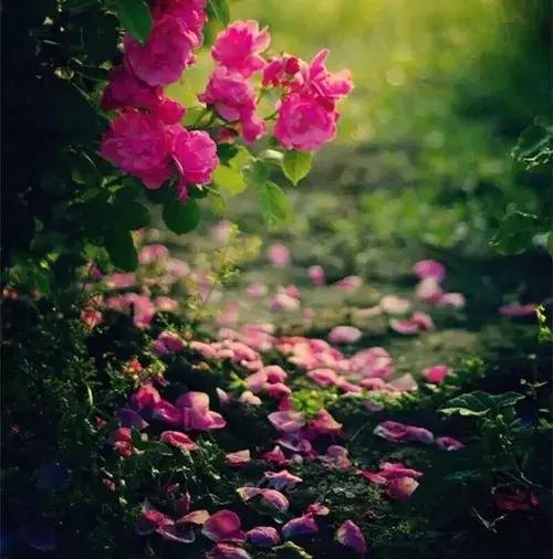 既相遇，何相離