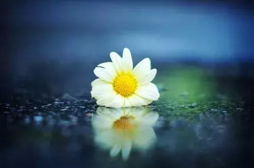 從此互不打擾，各自安好