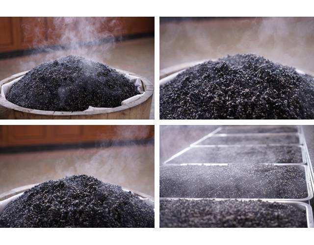 黑芝麻雖好，這3類人一定要少吃，否則對身體危害更大！