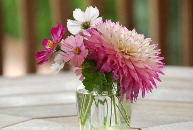 餘生不長，請多和乾淨的人在一起