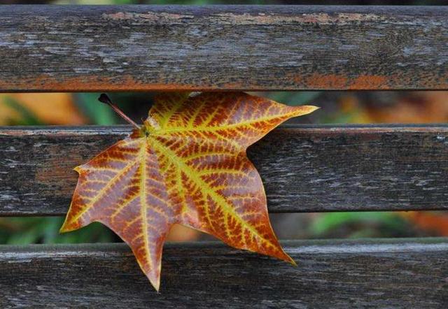 人到四十，有四大困惑