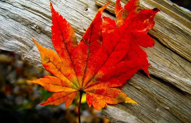 人到四十，有四大困惑