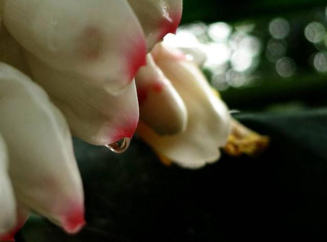 做人要懂留一手，莫將青春餵了狗