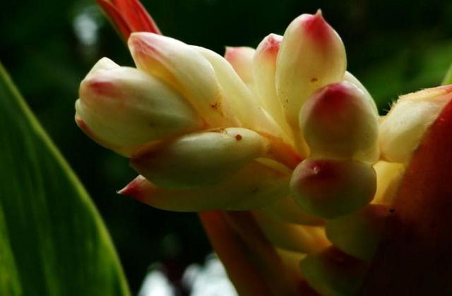 做人要懂留一手，莫將青春餵了狗