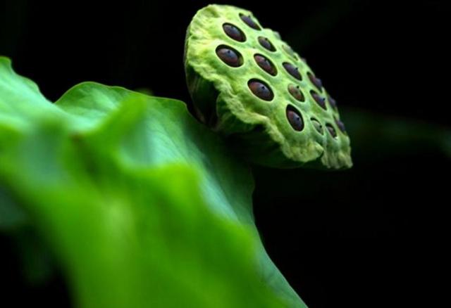 有些委屈，打死不要說