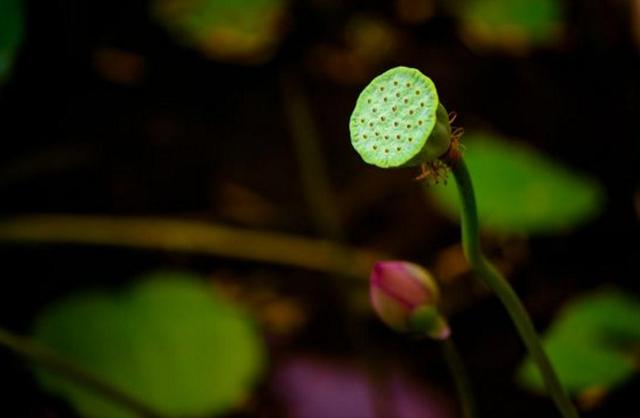 有些委屈，打死不要說