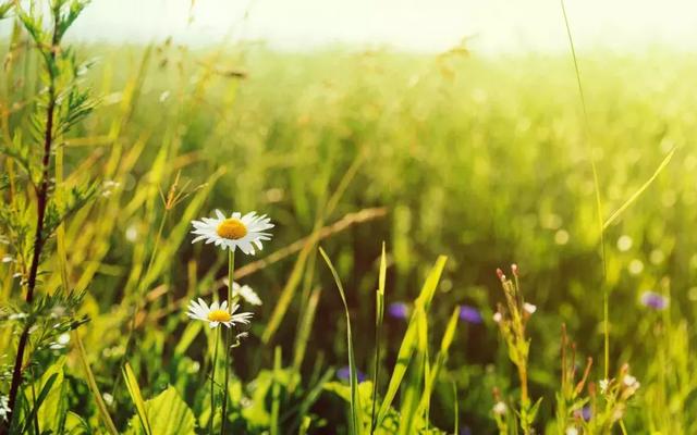 活著，哪有容易的！