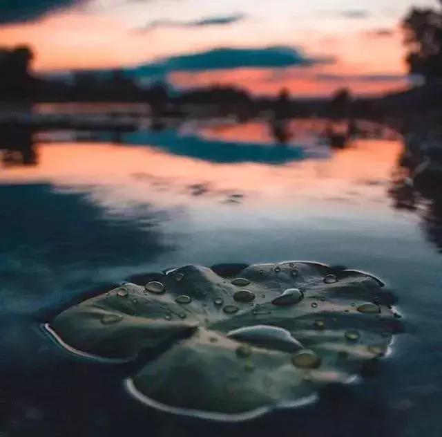 人活一世，不爭、不理、不解釋！