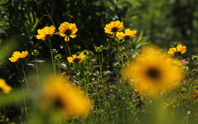 不要苛求，別人都對你好