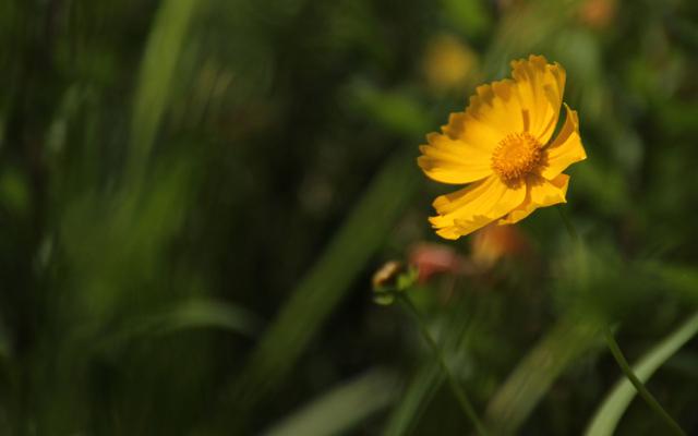 不要苛求，別人都對你好