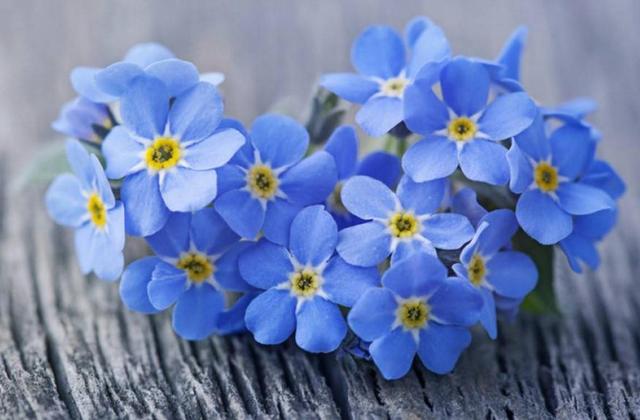 做人，要懂得“三不借”