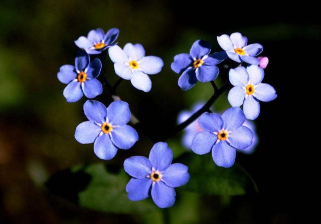 做人，要懂得“三不借”