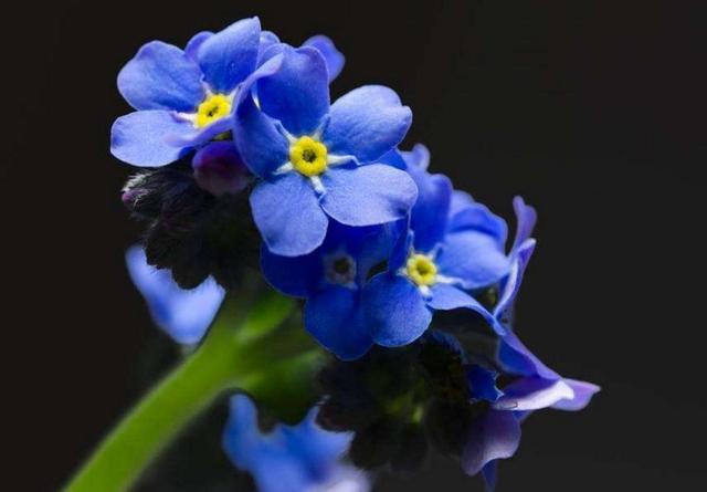 做人，要懂得“三不借”