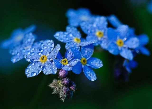 做人，要懂得“三不借”