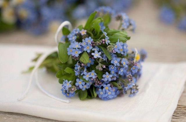 做人，要懂得“三不借”