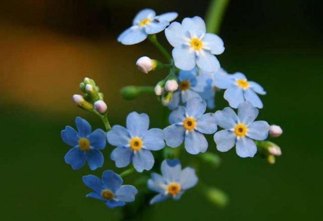 做人，要懂得“三不借”