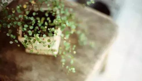 人活著，那麼累！ 人活著，那麼難