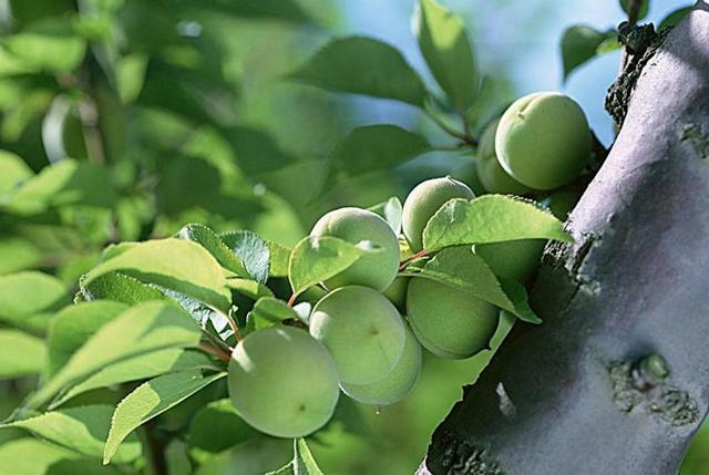 做人，走霉運前的四個跡象，你快進來看看有沒有？