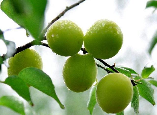 做人，走霉運前的四個跡象，你快進來看看有沒有？