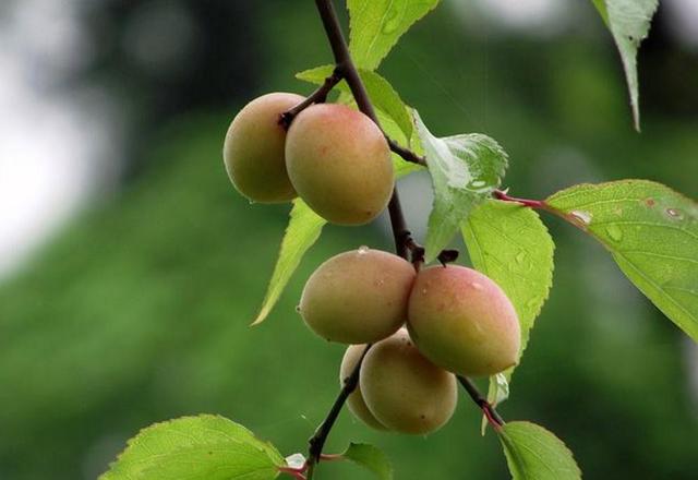 做人，走霉運前的四個跡象，你快進來看看有沒有？