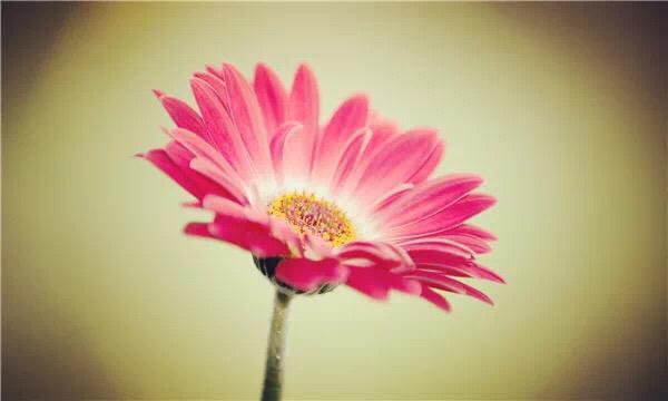 心無完美，各有芥蒂