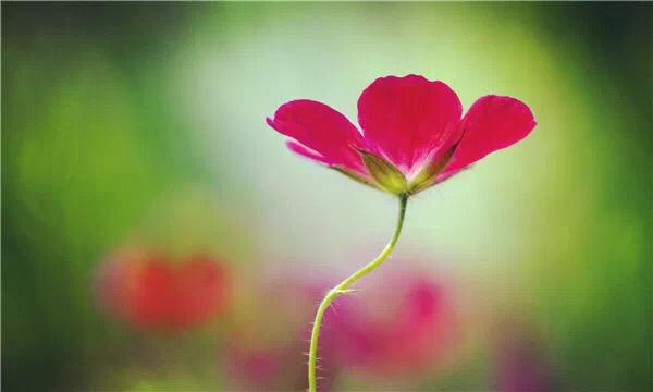 心無完美，各有芥蒂