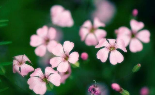 人生就像季節，繁華過後終歸平淡