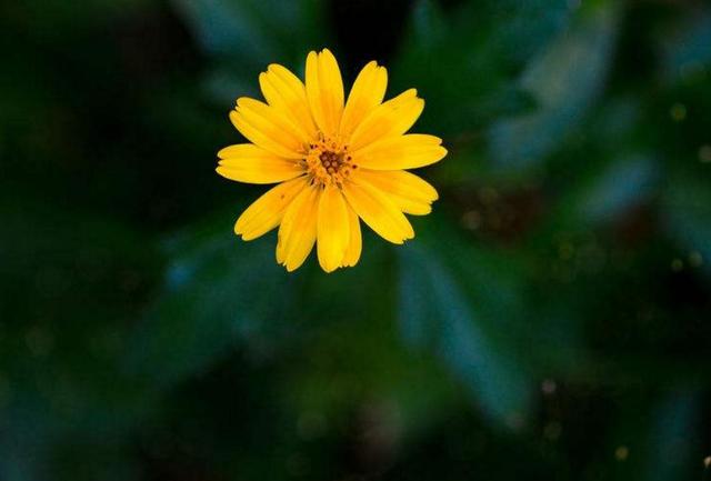 再好的朋友，也不能把這三件事告訴對方，否則朋友沒得做