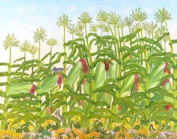 3位70歲奶奶的畫，人生永遠沒有太晚的開始！