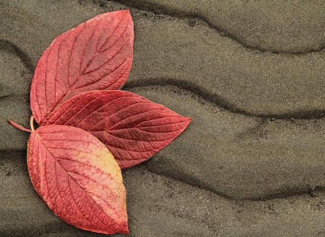 人在落魄的時候，要學會獨處