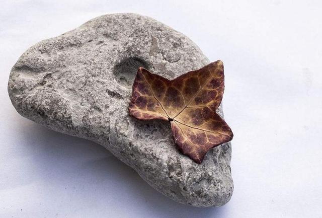 人在落魄的時候，要學會獨處