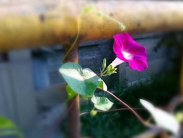 有這幾種特徵的人，小心命苦一生