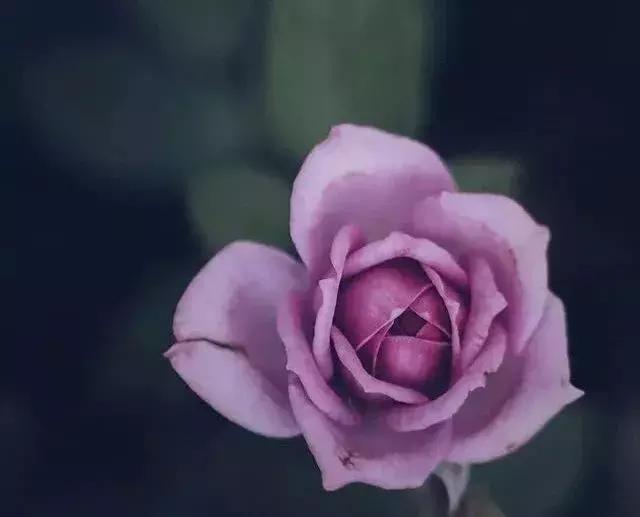 一顆良心，永遠是處世之寶！