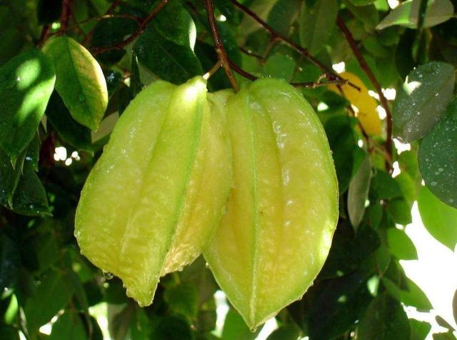 對一個人的善良,要適可而止