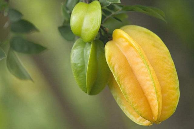 對一個人的善良,要適可而止