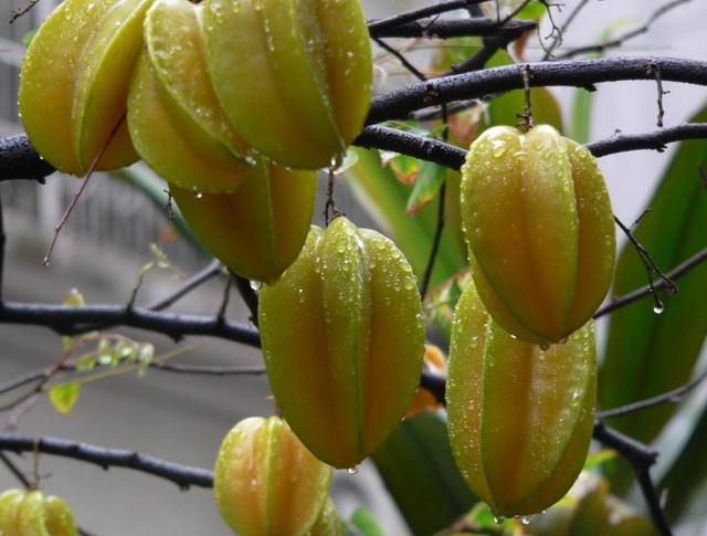 對一個人的善良，要適可而止