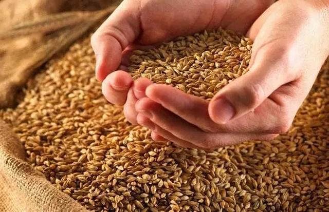 夜裡這兩個時辰醒，說明內臟出問題！