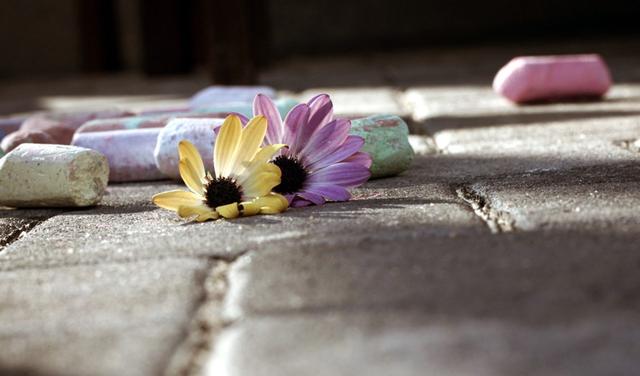 心難留，人也難留的星座