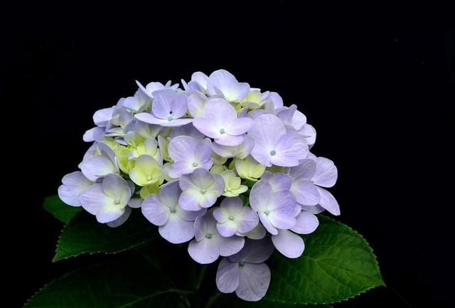 一個人，如果透支了這四樣東西，那就只能選擇隱居了