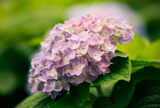 一個人，如果透支了這四樣東西，那就只能選擇隱居了