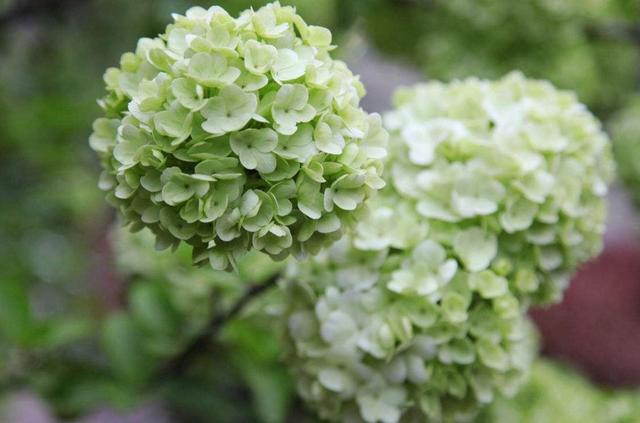 一個人，如果透支了這四樣東西，那就只能選擇隱居了