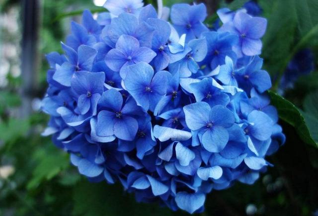 一個人，如果透支了這四樣東西，那就只能選擇隱居了